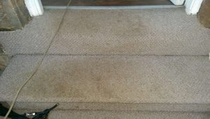 Carpet cleaning in Mirfield