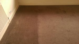 Carpet cleaning Mirfield